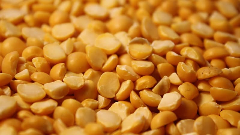 فروش لپه خورش